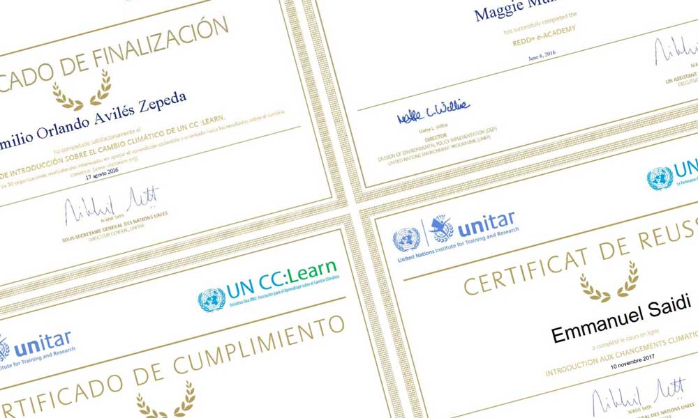 Images of certificates of completion of training provided by the platform.