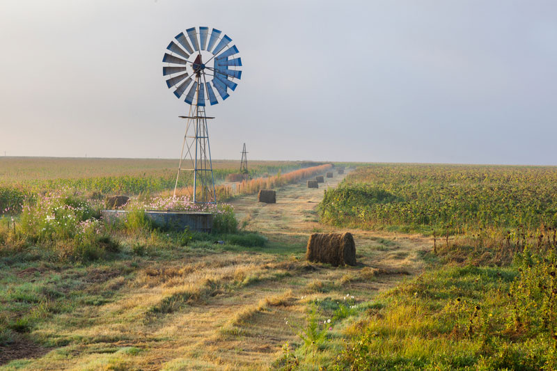 Climate-Smart Agriculture in South Africa